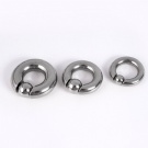 Wholesale titanium G23 titanium Captive Bead Ring PIERC Hinged Segment Hoop  Earrings Nose Ring Big guage Prince Albert Piercing Jewelry