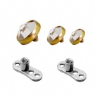 Wholesale 316L Stainless Steel Piercing Dermal Anchor Microdermals skin  implant，replacement drill bit， Diver Body Piercing